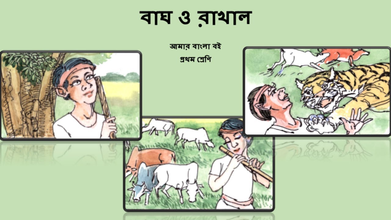 বাঘ ও রাখাল : Bagh o Rakhal - আমার বাংলা বই প্রথম শ্রেণি - YouTube