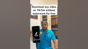 How to download any video on TikTok without watermark for free