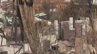 Maui fires: Death toll rises to 111, top emergency official resigns