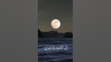 سوره غافر ٤١-٤٣ بصوت ياسر الدوسري اكتب شي تؤجر عليه #قران_كريم #قرآن #ياسر_الدوسري #سوره_غافر #راحه