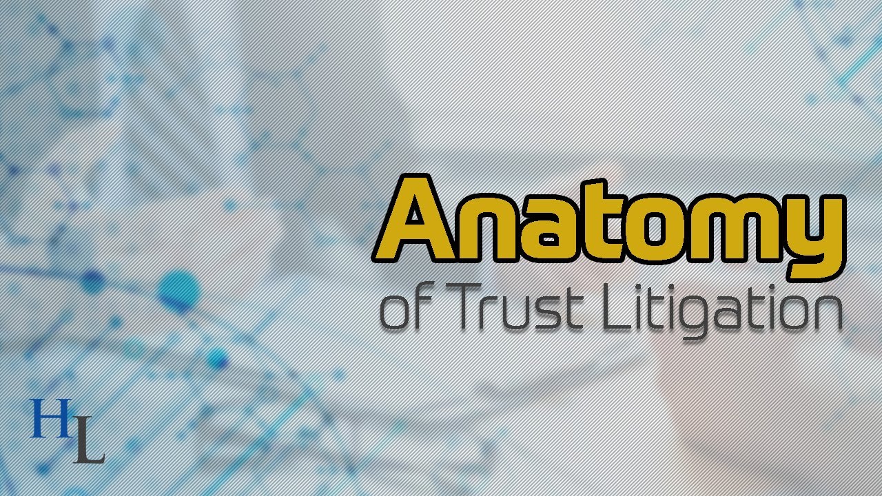 Anatomy of Trust Litigation | Protecting Beneficiaries