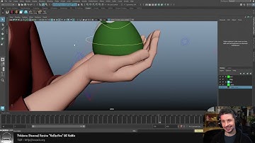 What is an euler flip and the euler filter？