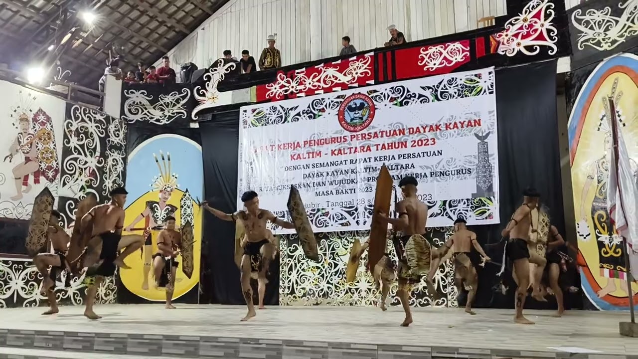 TARIAN KESATRIA PEMUDA MIAU BARU // HIFAN SAU LAKIN KAYAN