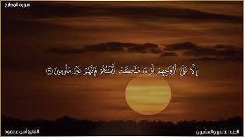 سورة المعارج القارئ أنس محمود