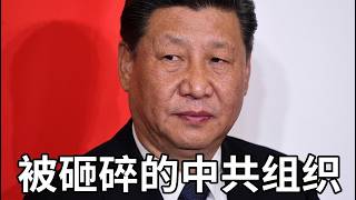 汪洋的民主化改革为什么失败？中共地方政府为什么失控？
