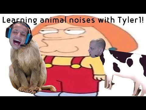 learning-animal-noises-with-tyler1!