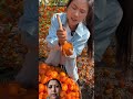 अमरफल या रामफल #agrifuture #agriculture #youtubeshorts #trending