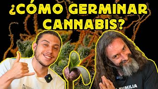 Foolproof Tips for Successfully GERMINATING CANNABIS