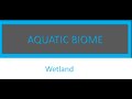 Introduction to Wetland(With Notes): Marsh, Swamp, Vernal Pool, Bogs and Fen.