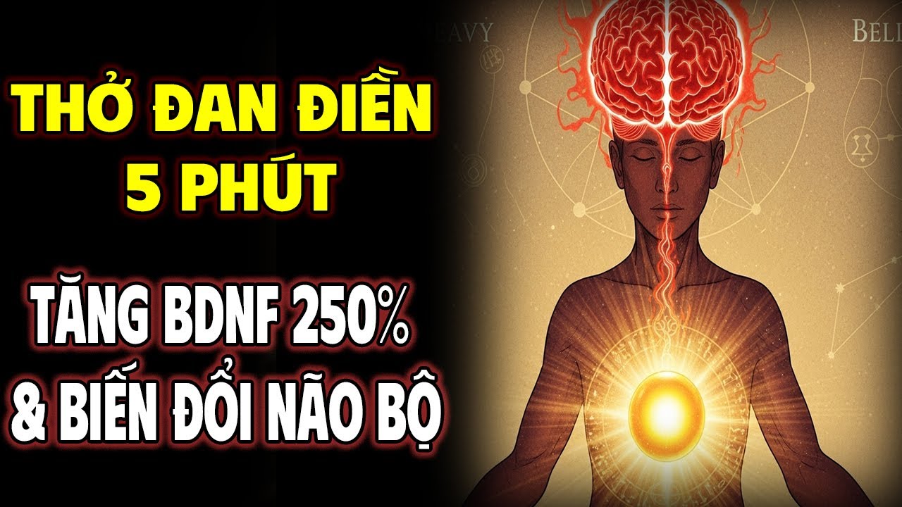 Phương Pháp Thở Đan Điền 5 Phút Kích Hoạt BDNF Và Tái Tạo Não Bộ | Tuổi Già 100 năm