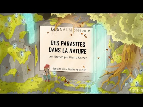 Vidéo: Traitement des nématodes à galles du prunier : que faire des nématodes sur les racines des pruniers ?