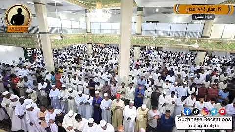 الشيخ يوسف ابو البشر اوخر سورة القصص