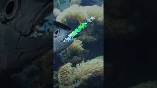 Fishing Master 3D 1.9 screenshot 2