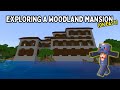 First Woodland Mansion in my Forever World (Bedrock 78)