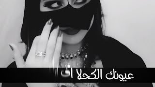 كلمات شيلة ياريم الغلا - مدري السحر جا من عينك ولا خدودك الورديه 🔥