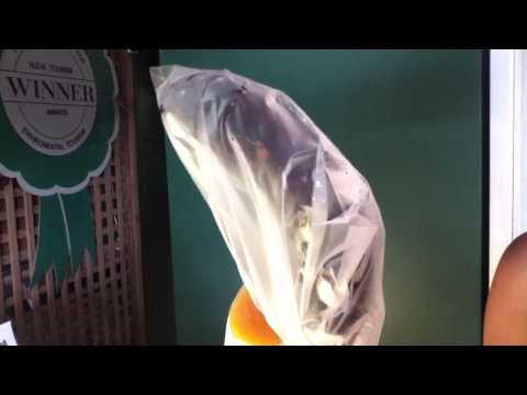 Video: Snoqualmie Jäätise Hooajalised Maitsed On Siin