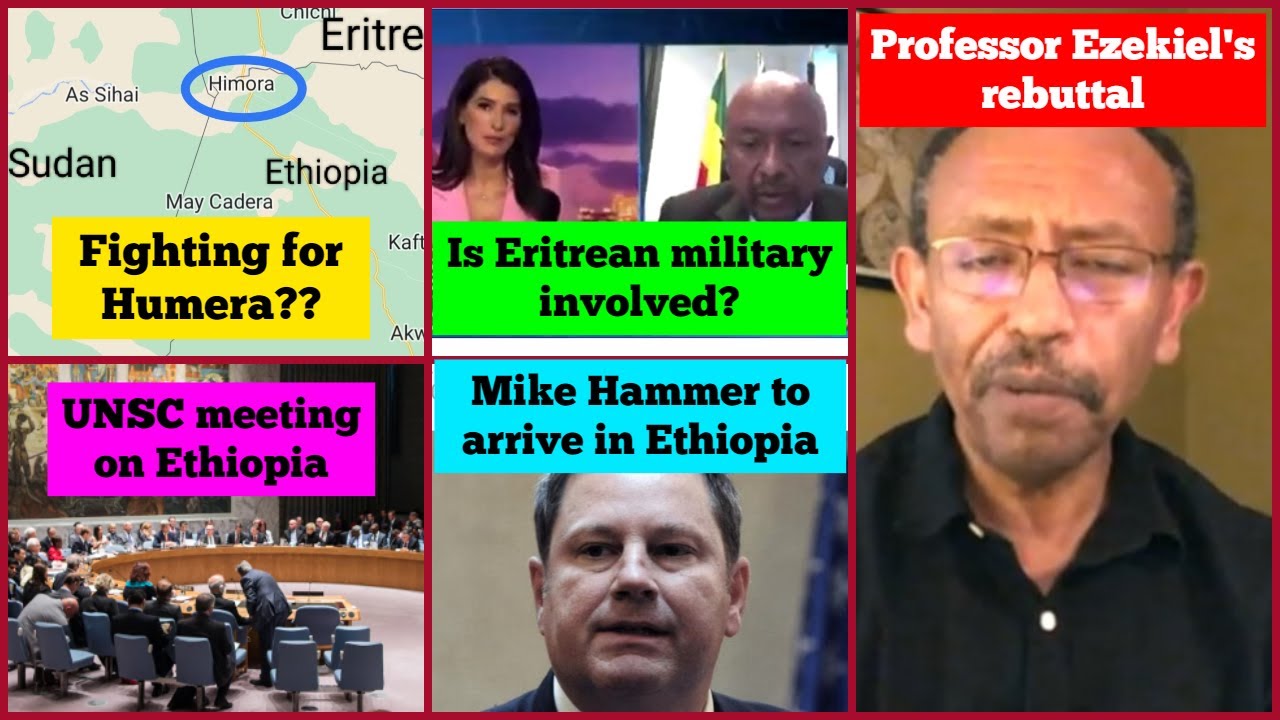 Fighting for Humera town? | Is Eritrea involved on Sheraro front? | Professor Ezekiel | US Ethiopia