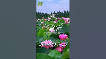 #سورة_غافر #عبدالباسط_عبدالصمد #reels #اكسبلور #قرآن #memes #duet #status #سورة #stories #تلاوة