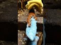 rust removal #youtubeshorts #shorts #youtube #aivideo