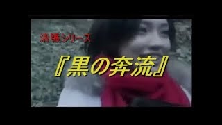 清張シリーズ　『黒の奔流』　驚愕のどんでん返し