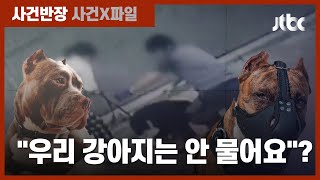 "우리 애는 안 물어요"?…'나쁜 견주'가 만드는 개 물림 사고 / JTBC 사건반장