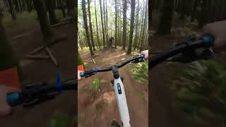 Friday fail re-upload to adjust to 4k #mtb #fail #tree