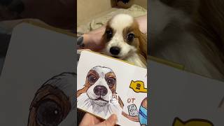 Meme dog| part 1 • Papillon• кличка Жулик #cattori_san #memedog #papillons #whatthedogdoin #bababoy