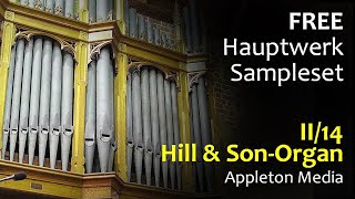 Tour of Stops - Hill, Norman & Beard-Organ - II/14, St. Augustine NSW (Hauptwerk - Appleton Media)