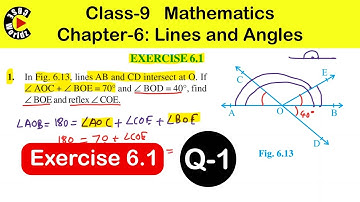 Class 9 Maths | Exercise 6.1 Q 1 | Chapter 6 Lines and angles NCERT exercise solution