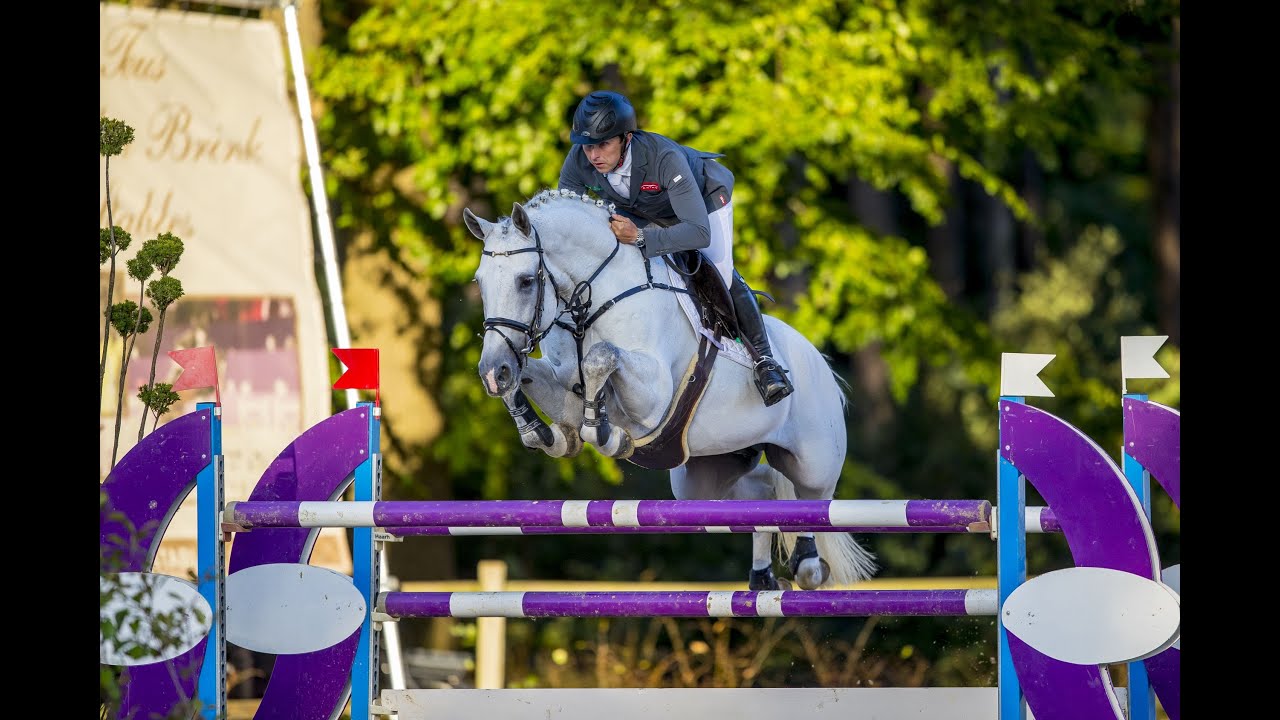 Cohinoor VDL Stallion Show 2021