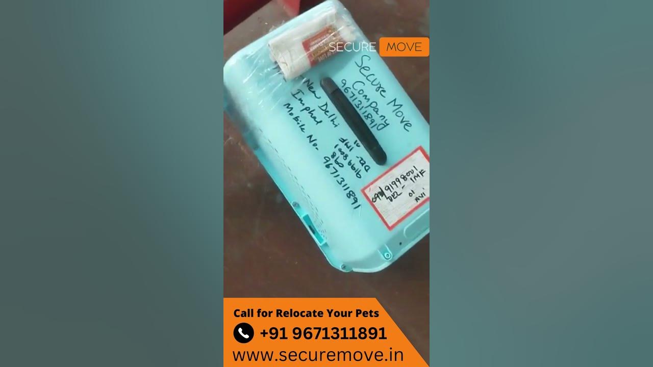 Pet Transport Delhi To Imphal Pet Shipping By Secure Move YouTube pet-transport-delhi-to-imphal-pet-shipping-by-secure-move-youtube
