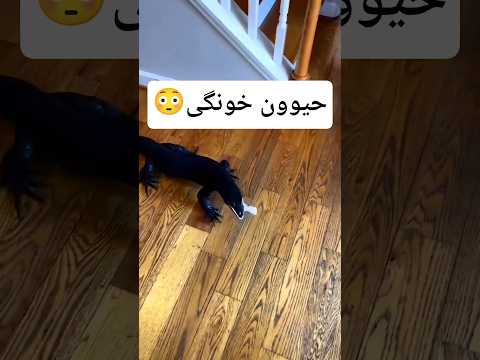 اسمش چی باید باشه 