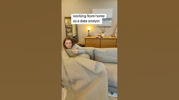 day in the life of a wfh data analyst.