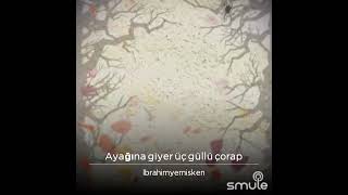 Ayaği̇na Gi̇yer Üç Güllü Çorap