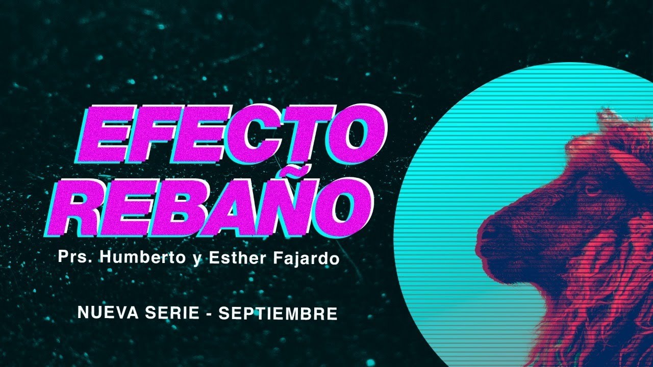 Efecto rebaño - YouTube