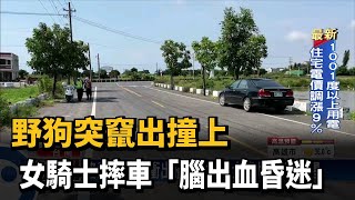 野狗突竄出撞上　「女騎士摔車腦出血昏迷」－民視新聞