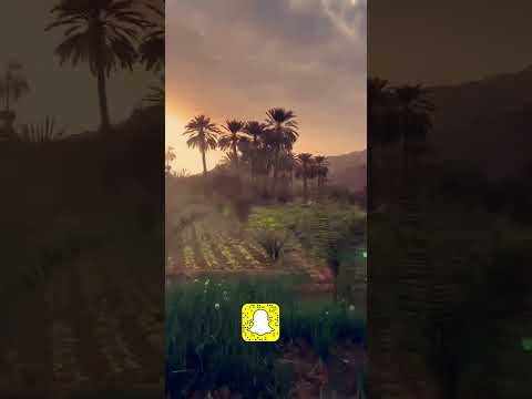 يا مروح بلادك 