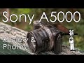 Sony A5000 Camera Review with Sample Photos, Strengths, Weaknesses, Qualities, and What to Expect