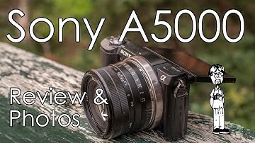 Sony A5000 Camera Review with Sample Photos, Strengths, Weaknesses, Qualities, and What to Expect