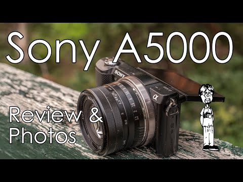 Sony A5000 Camera Review with Sample Photos, Strengths, Weaknesses, Qualities, and What to Expect