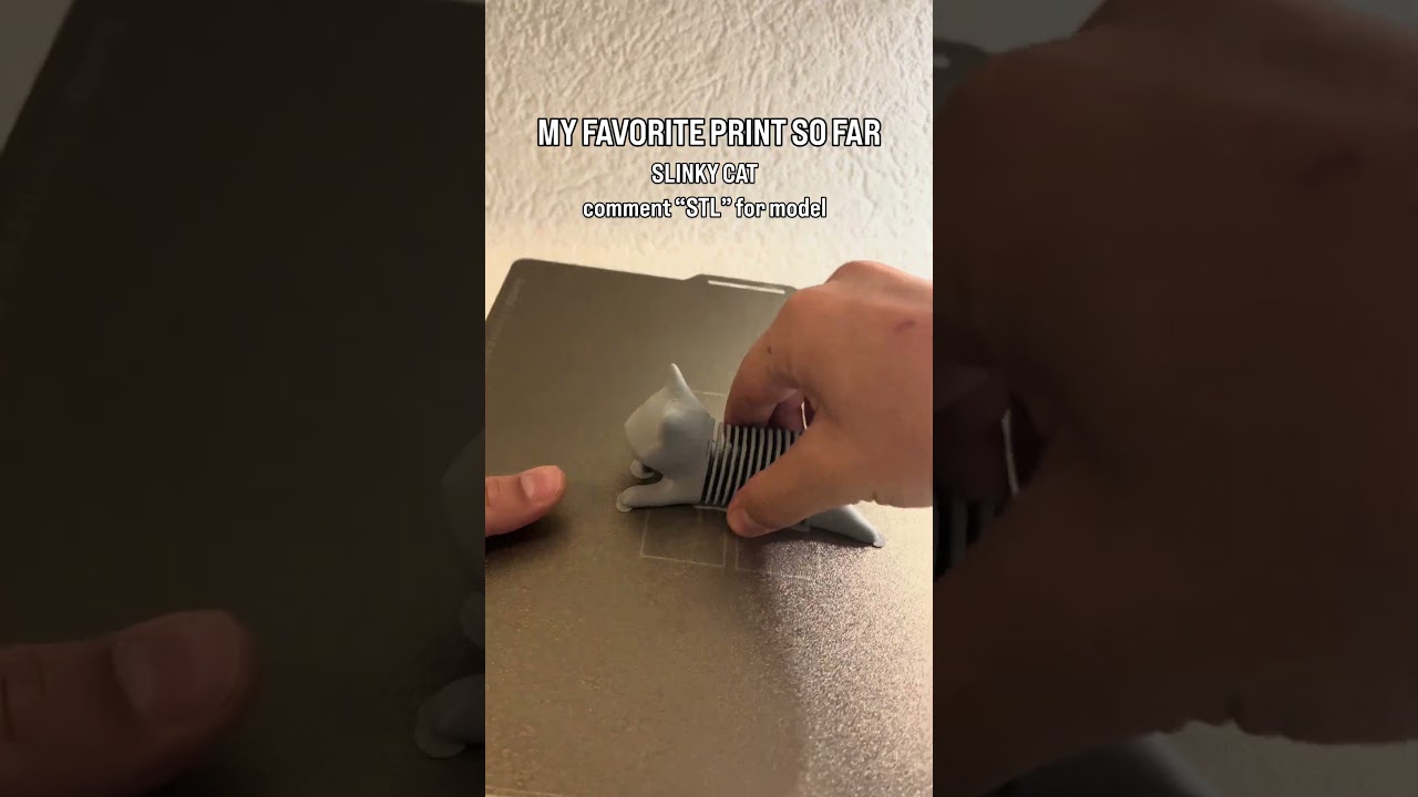 Slinky cat 🐈 | model in bio  