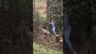Tree falls on guy trying to escape the falling tree
