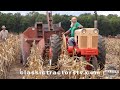 4 Classic Tractors Picking Corn At 2019 Antique Engine & Tractor Association Farm Show, Geneseo, IL