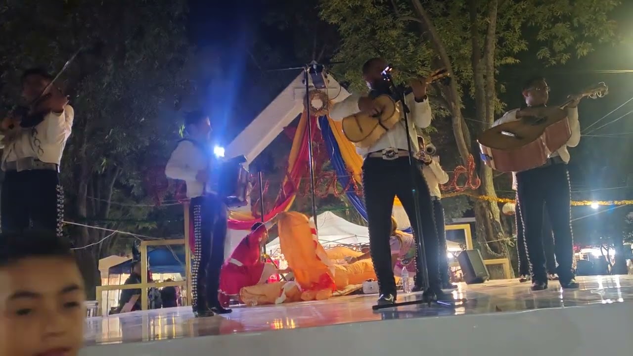 El Son De La Negra - Mariachi Jalisco Es Tradición