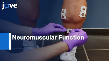 Neuromuscular Function Assessment by PENS | Protocol Preview