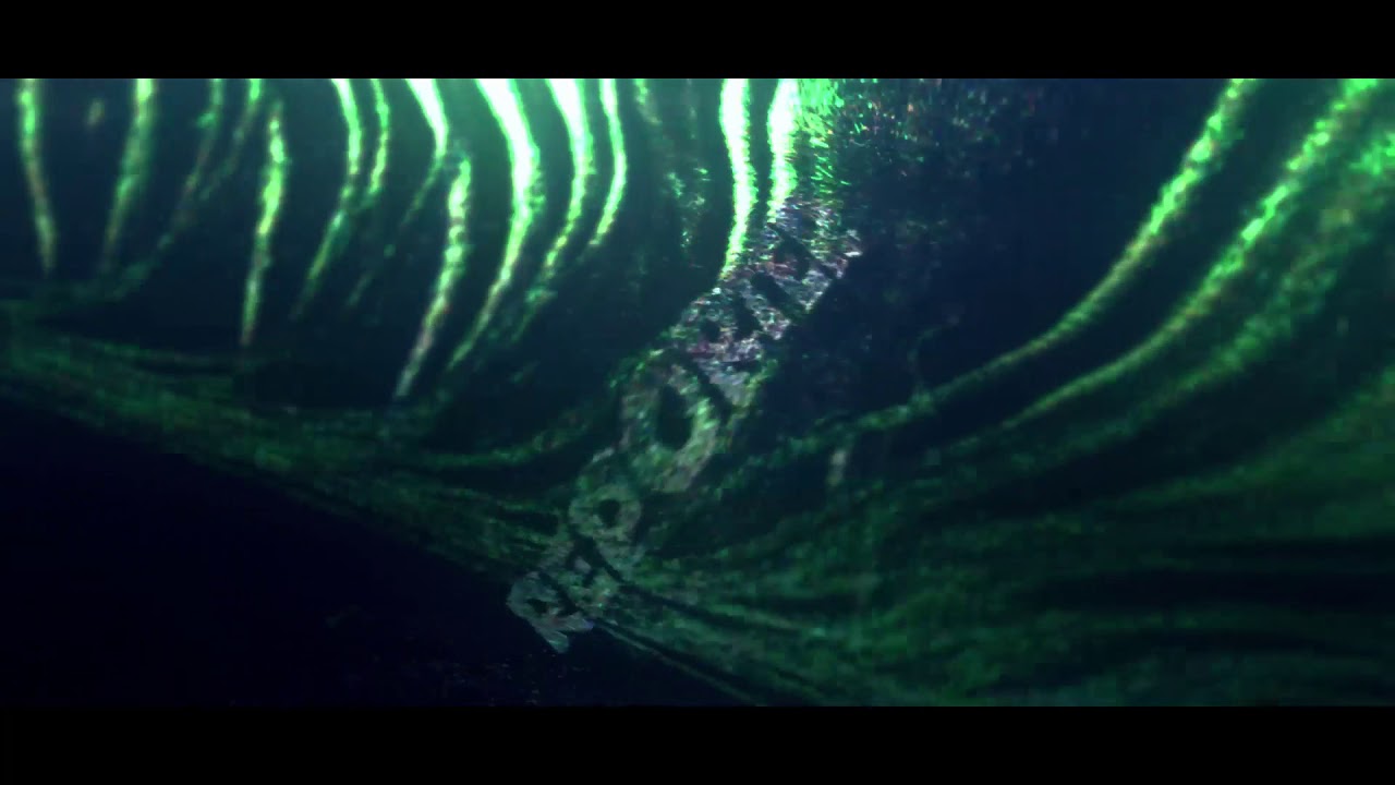 Intro #3 - EinReporter [60FPS] | BGFX Shop is open!