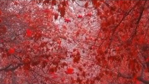 دعاء لراحة النفس #دين #اذكار #رزق #قرآن #اكسبلور #استغفرالله #اسلام #explore #viralvideo #رائج #دعاء