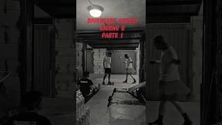 Diventare grossi giorno 6 parte 1: Natale, Ferragosto e 1° Maggio #palestra #homegym #workout