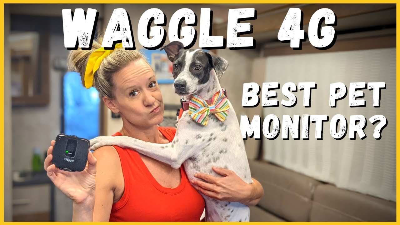 Waggle Pet Monitor 4G Lite