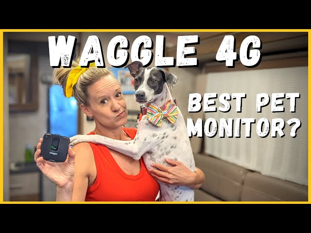 Waggle RV Pet Monitor 4G with GPS